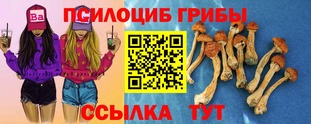 Галлюциногенные грибы GOLDEN TEACHER  Вход с VPN  Луга 